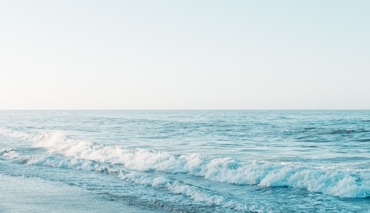 僕が本当に欲しいもの