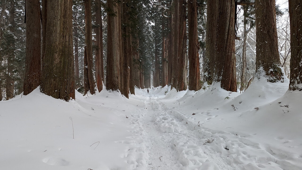 プロフィール背景画像